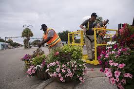 Florist — north myrtle beach, horry county, south carolina, united states, found 10 companies. Isaias Regains Strength Makes Landfall In N C
