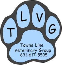 Acvh was founded in 1922 as a mixed large and small animal practice by john j. Home Veterinarian In Hauppauge Ny Towne Line Veterinary Group
