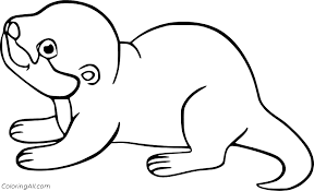 Sea otter worksheet education com. Otter Coloring Pages Coloringall