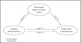 Ijerph Free Full Text Families And Social Media Use The Role Of Parents Perceptions About Social Media Impact On Family Systems In The Relationship Between Family Collective Efficacy And Open Communication