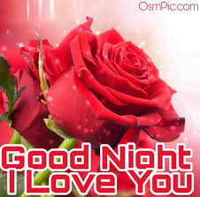 Sweet dreams my love night wishes goodnight message for her good night honey night love good night love images good night i love you good candlelight good night flowers candle lite candle in the wind emoji images candles happy diwali images candle lanterns candle gif. 45 Good Night Rose Images Hd Pictures Wallpapers Of Gn Rose Flowers