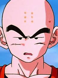 His father, bora, is the chief of the tribe. Free Download Dragon Ball Z Krillin Wallpaper 59306 1920x1080 For Your Desktop Mobile Tablet Explore 75 Krillin Wallpaper Krillin Wallpaper