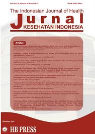 Pada sistem informasi berupa informasi atau laporan, dsb. Evaluasi Uraian Tugas Di Sub Bagian Rekam Medis Dan Sistem Informasi Manajemen Blud Rsud Datu Sanggul Rantau Jurnal Kesehatan Indonesia