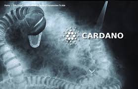 No es nada sorprendente que la persona que fraguara el desarrollo de cardano sea charles hoskinson, que ya. Que Es Cardano Introduccion A Ada Educacion Cardano Forum