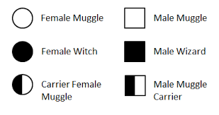 Harry potter pedigree worksheet answer key. Https Silo Tips Download Building A Pedigree Observe The Symbols And The Example Of The Pedigree Below Id