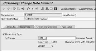Sap Abap Data Elements Data Sap Interview Questions And Answers