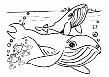 Malvorlagen Fische Delfine Wale Lustige Ausmalbilder Fisch Delfin Wal