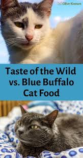 Taste Of The Wild Vs Blue Buffalo Cat Food Which Is Best For You Every Cat Has Their Own Individual Set Of Dietary Needs And Nut Cats Cat Training Cat Food