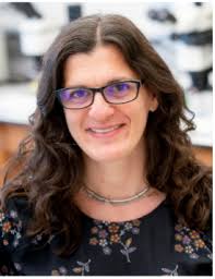 Sarah Calve (@CalveLab)