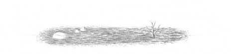 Learn how to draw a 3d cube, narrated step by step narrated pencil drawing. How To Draw Grass Ground And Rocks