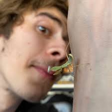 Insect Photography Sam Waller (@wallerscrawlers) • Instagram photos and  videos