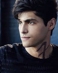 We Re Lightwoods We Break Noses And Accept The Consequences Instagram Photo By Shadowhunters Jun 17 2016 At 5 36am Utc Shadowhunters Matthew Daddario Alec Lightwood