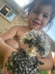 What is the breed of a chicken with frizzle feathers and how to care for it?