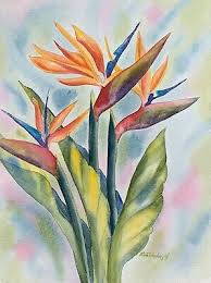 Bird Of Paradise Watercolor Bird Of Paradise Original Watercolor Painting Ebay In 2020 Watercolor Postcard Original Watercolor Painting Paradise Painting