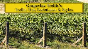 You can check out prices and customer reviews at wayfair. Grape Trellis Systems The Total Wine System