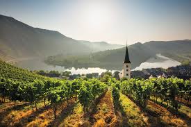 Sehen sie sich die shop for wine online auf gigagünstig an! 10 Great German Rieslings From Serious Concentrated Bottles To Sunny Charmers Wine Enthusiast