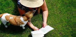 Smooth stalked meadow grass is another one to include. Top 7 Best Artificial Grasses For Dogs Or Any Other Pets Daily Dog Stuff