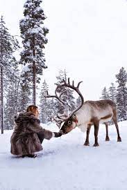 Best Things To Do In Lapland Finland Lapland Finland Lapland Finland Travel