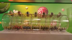 Tot duminica are loc extragere si la joker, unde la categoria i se inregistreaza un report marele premiu la jocul loto 6/49 depaseste 9,1 milioane de lei (peste 2 milioane de euro), conform loteriei romane. Cine Este CastigÄƒtorul Marelui Premiul La Loto 6 49 A Jucat Doar Un Bilet De 15 Lei Stirileprotv Ro