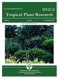 Image result for Maesobotrya floribunda