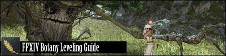 Ff14 jobs aren't tied to any specific character, so you can level them all up to your heart's content, without having to grind through story content all over again. Ffxiv Botanist Leveling Guide 80 Shadowbringers Updated