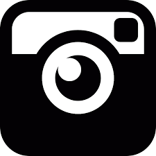 Image result for instagram logo
