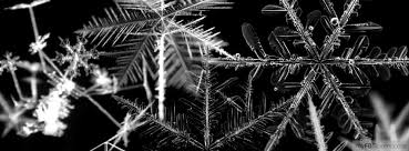 Black And White Cover Photos For Facebook Black And White Snowflakes Myfbcovers Winter Cover Photos Winter Facebook Covers Cover Photos