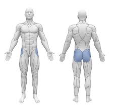 The primary goal of this protocol is to protect the reconstruction while steadily progressing towards maximizing functional potential. How To Do Banded Abductions Benefits Variations Muscles Worked