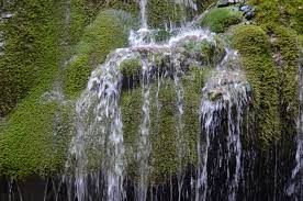 Bigar waterfall or izvorul bigăr is a natural reserve located at the southwest limit of the country, romania. Bigar Cascade Falls Poneasca 2021 All You Need To Know Before You Go With Photos Tripadvisor
