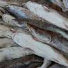 Terdapat dua cara menyediakan siakap asam pedas ini, satu ikan dikukus terlebih dahulu dan dicurahkan kuahnya yang dimasak secara berasingan atau pun ikan dimasak sekali bersama kuah sama seperti memasak ikan lain. Https Encrypted Tbn0 Gstatic Com Images Q Tbn And9gcsjtibu5zqwiv 6vlcp1rghqef4ff Qaeec9cuu99rfh5s2t0h Usqp Cau