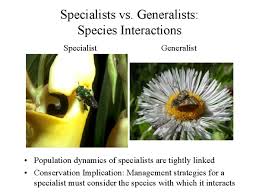 نتیجه جستجوی لغت [generalists] در گوگل