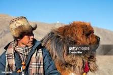 1,420 Tibetan Hats Stock Photos, High-Res Pictures, and ...