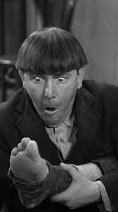 Does The Three Stooges comedy drive you wild?