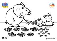 Oltre alla stilizzazione del disegno, l'altra peculiarità di peppa pig sta nel colore. Disegni Da Colorare Di Peppa Pig Filastrocche It