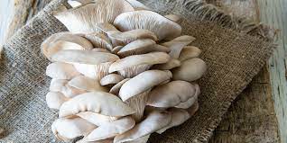 A Complete Guide To Oyster Mushrooms Grocycle