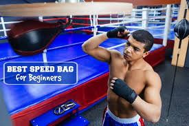 Best Speed Bag For Beginners Warrior Punch