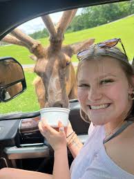 Buchanan Stables LLC