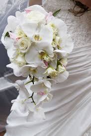 A Lovely Bouquet Idea White Orchid Bouquet Flower Bouquet Wedding Wedding Bouquets
