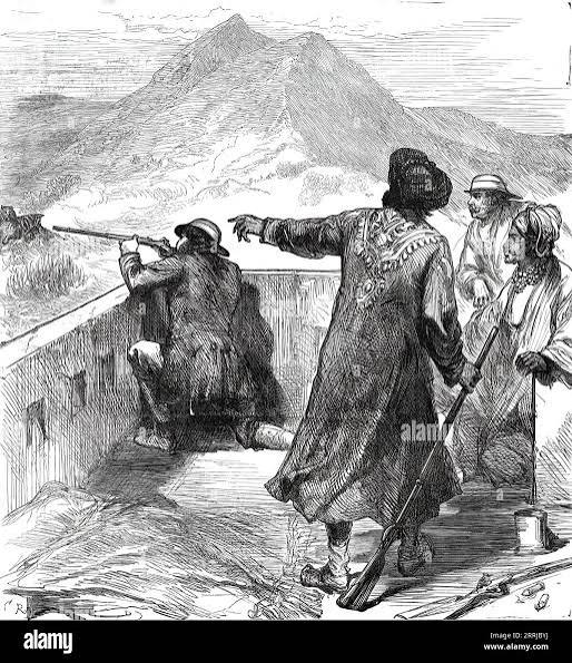 Edward, Prince of Wales, hunting tiger during his state visit to India in 1876. Artist: Unknown Stock Photo - Alamy