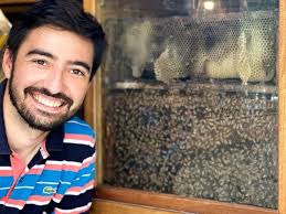 El Árbol, un templo de la miel imperdible para conocer en San Marcos  Sierras