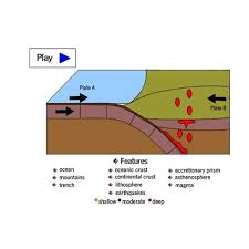 Animals of deep sea trenches generally are adapted to survive in a place that has no sunlight. Deep Sea Definition Bioluminescence Definition Explanation Examples Of Relating To Or Taking Place In The Deeper Parts Of The Sea