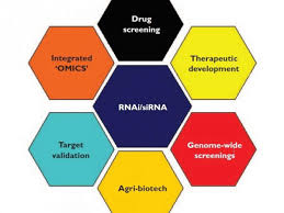 Rna Interference A Technology Platform For Target Validation Drug Discovery And Therapeutic Development Drug Discovery World Ddw
