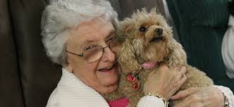 Loving spay & neuter clinic 801 branchway road richmond, va 23236< phone: Seniors For Seniors Richmond Spca