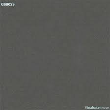 Gạch Taicera đồng chất 600x600 màu ghi đậm G68029 - VinaBAT