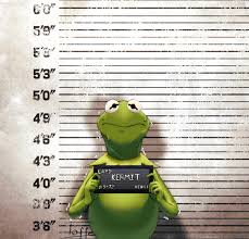 kermit the frog, muppets, 1boy, barbie mugshot (meme), character name,  english text, frog boy, furry, furry male, imtoffe, looking at viewer, meme,  mugshot, signature, solo 