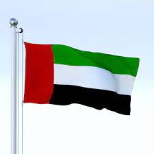 Unity of arab nations is the main theme of the flag. Pin On Graphics Illustration Vector