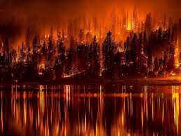 Los incendios forestales son fuegos fuera de control en un área natural, como bosques, pastizales o praderas. Forest Fires Will Increase In The Coming Years Network Meteorology