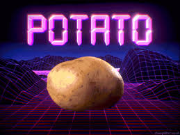 A potato flew around my room in minecraft! Potato Outrun