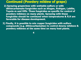 Check spelling or type a new query. Powdery Mildew Of Grape Prezentaciya Doklad