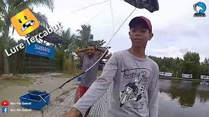 9 9 2018 Shino Sea Game Sw4000 Reel Field Test Fishing Buddies Fishing Pond Bagan Lalang Sepang Youtube